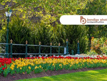 Conservatory Gardens - Bendigo Stock Photos